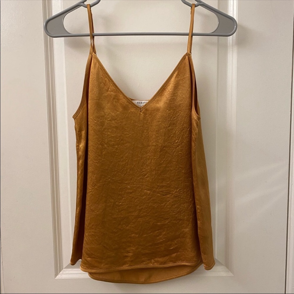 Aritzia Tank Top - Babaton Everly Camisole